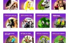 Pack Canva Petshop Vol 1 - 100 Artes Editáveis