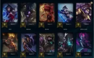 unraked level 65, 14 skins, 5000 essencia azul