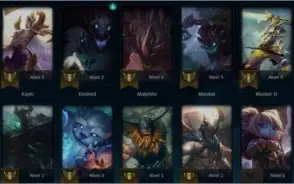 unraked level 65, 14 skins, 5000 essencia azul
