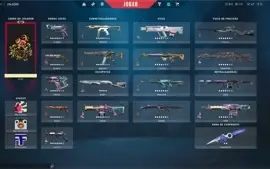 Conta valorant com skins de todas as armas