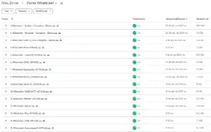Whaticket - 15 Scripts Diferentes