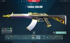 Vendo conta dima 2 no valorant