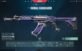 Vendo conta dima 2 no valorant