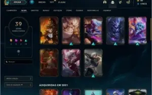 Conta com skins + dados de criação detalhado