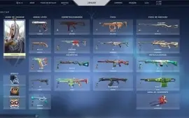 Conta Valorant Prata 3, com skin em todas as armas.