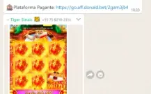 Sala de Sinal para Whatsapp jogos Slots Entrega Automática!