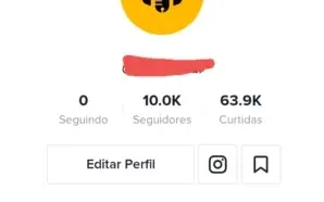CONTA DO TIKTOK COM MAIS DE 10 MIL SEGUIDORES