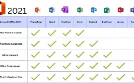 Microsoft Office 2021 Professional Plus | Vincula E-Mail