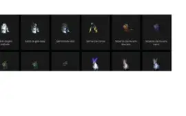 conta battle net com world of warcraft e hearthestone ...