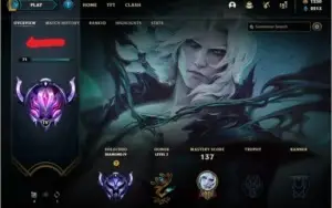 Conta Diamante com RP, vários champions e ótimas skins