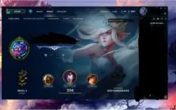 Conta borda D5 87 skins e várias m7