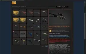 STEAM CSGO dentre outros, KARAMBIT DOPPLER, AWP de 200R$ etc
