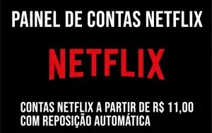 NETFLIX - PAINEL PRIVADO CONTAS A PARTIR DE R$ 11,00
