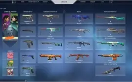 Conta de valorant skins brabas.