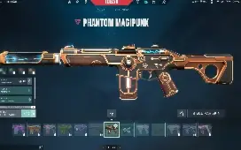 Conta valorant com Skins, negocio valor