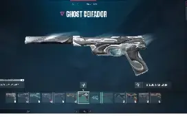 Conta valorant com Skins, negocio valor