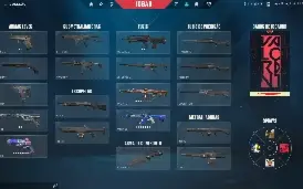 Conta valorant com Skins, negocio valor
