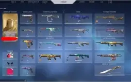 DUAS CONTAS DE VALORANT COM MUITA SKIN