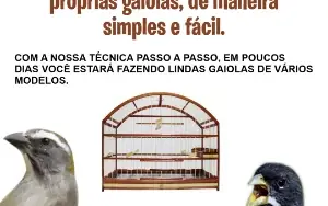 Curso Completo de Fabricação de Gaiolas Artesanais