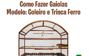 Curso Completo de Fabricação de Gaiolas Artesanais