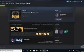 Conta CS:GO com prime, +2.600 horas, 14 anos de conta, etc.