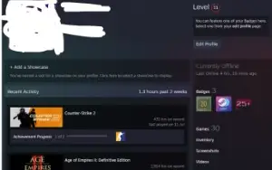 Counter-Strike 2 Prime Com Medalhas Raras E Antigas