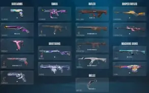 Conta Valorant Muitas Skins