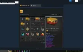 Conta Quase 3 Anos Com Broche, 2K De Horas Jogadas E Jogos