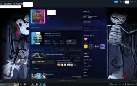 Conta Quase 3 Anos Com Broche, 2K De Horas Jogadas E Jogos