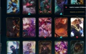 Conta league of legens varias skins boas c\ bordas D2