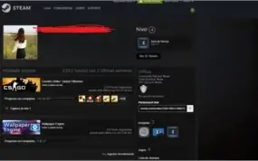 STEAM CS:GO PRIME 7 Medalhas + 2000 horas cs + skins