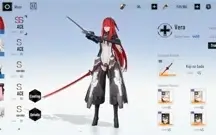 Punishing gray raven, colab nier automata(noth america) 2B
