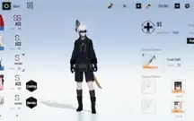 Punishing gray raven, colab nier automata(noth america) 2B