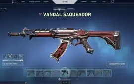 CONTA  COM MAS DE 1500,00 REAIS GASTO COM SKIN E PASSSE