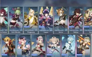 Conta Genshin Ar52  - 12Drop 5* - Raiden C1 + Info Descrição