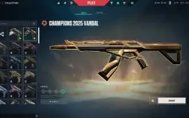 Vendo conta valorant