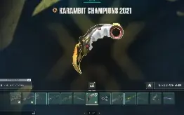 [Conta Full Acesso]Valorant Karambit Champions 2021 E Mais!