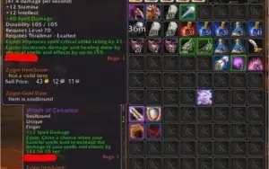 Conta WOW TBC Faerlina Horda - Paladin Lv70 - PreRaid e Farm