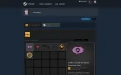 steam 17 anos cs prime medalha 5 e 10 anos