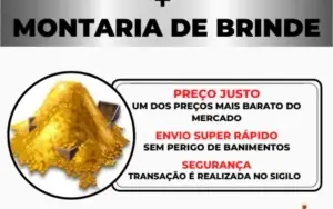 10kk PRATA NO ALBION 100% SEGURO!!! (10kk + Brinde)