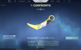 CONTA VALORANT +900 REAIS GASTOS