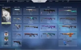 conta de valorant com skin com elo baixo