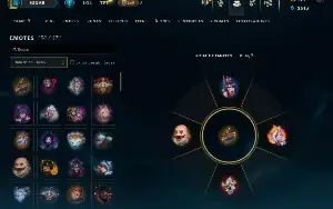 Conta League Of Legends - Main Suporte - 140 Skins