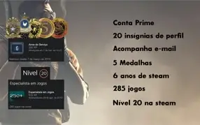 CSGO Prime, 5 Medalhas, 285 Jogos e Steam Level 20.