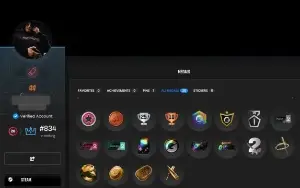 STEAM LVL 20 Gamersclub / 10 Faceit / main perfeita