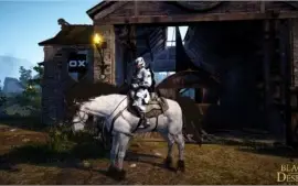 Black Desert SA - Warrior lvl 58 Full TRI