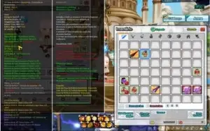 Vendo Conta Elsword, Main Ara