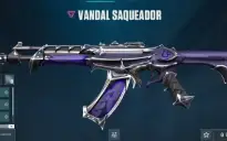 Conta valorant(algumas skins) pouco usada