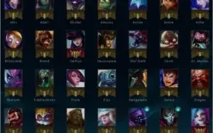 CONTA COM 84 CHAMPS 22 SKINS