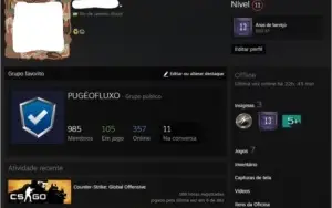 STEAM 13 ANOS DE SERVIÇO. MOEDA 10 ANOS CSGO